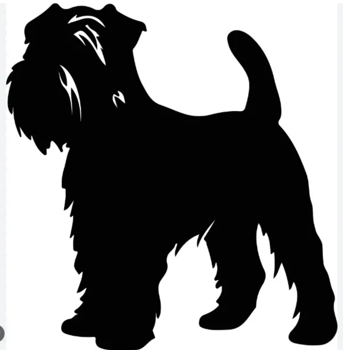 Wheaten Terrier/Fluffy Dog Wall Art