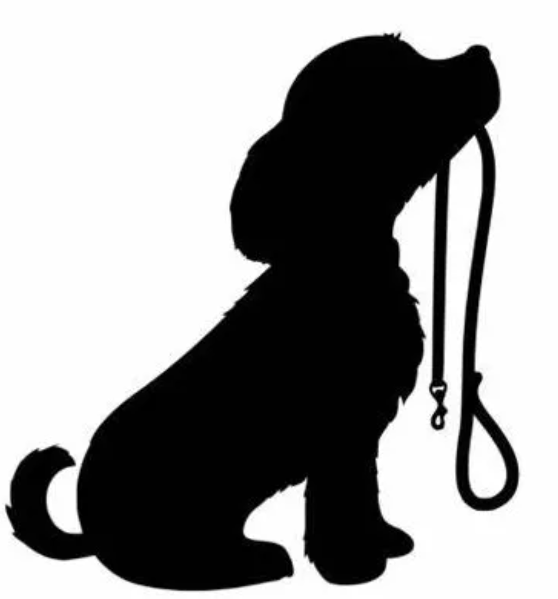 Puppy Wall Art