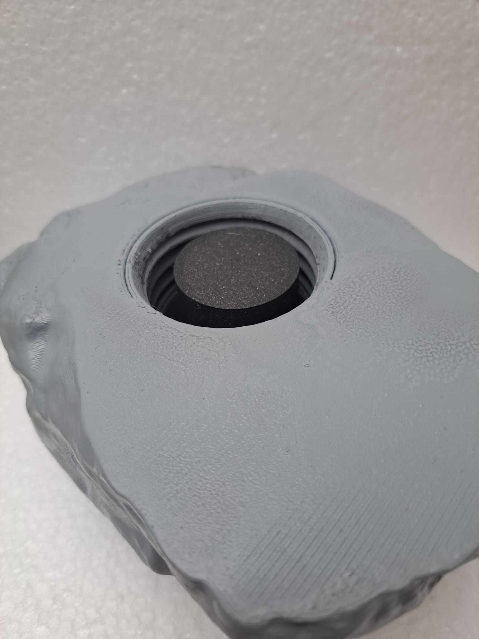 Geocache stein insertable container