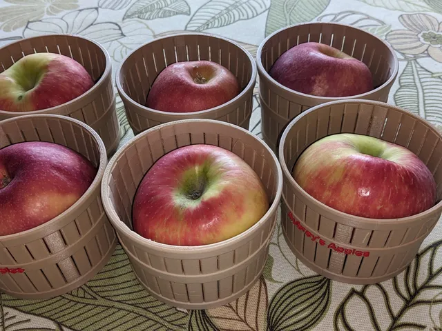 Apple Basket