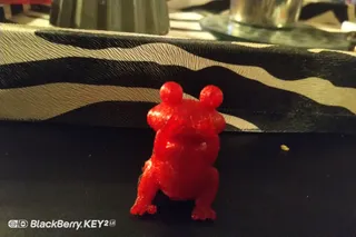 Cute Small Greedy Toad