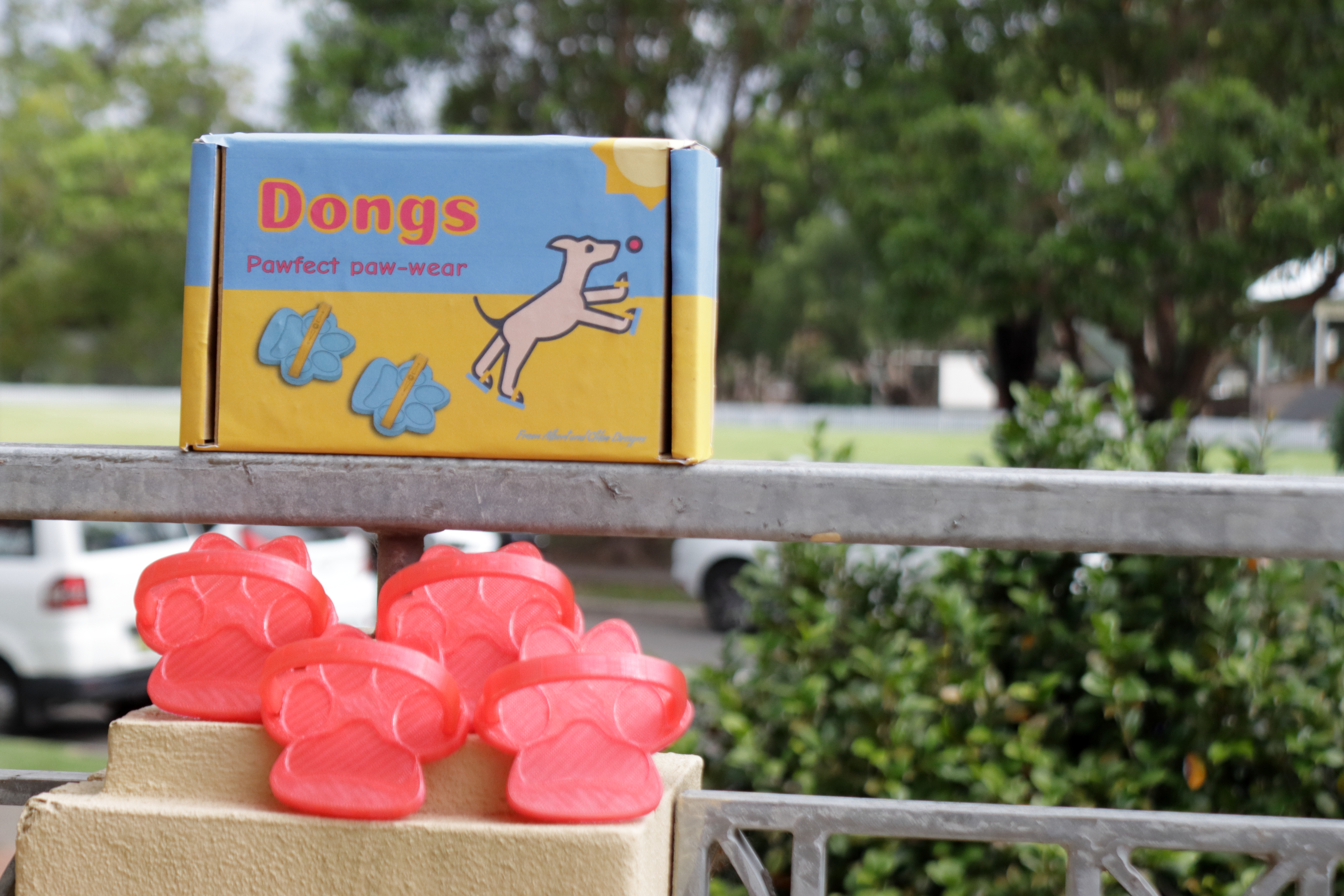 Dongs (Thongs) for Dogs