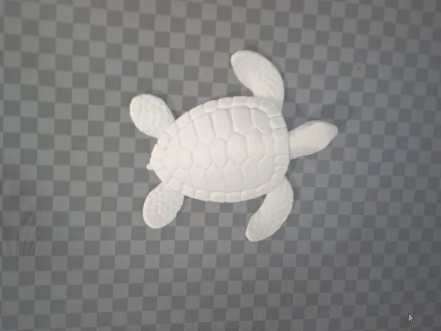 Schildkröte