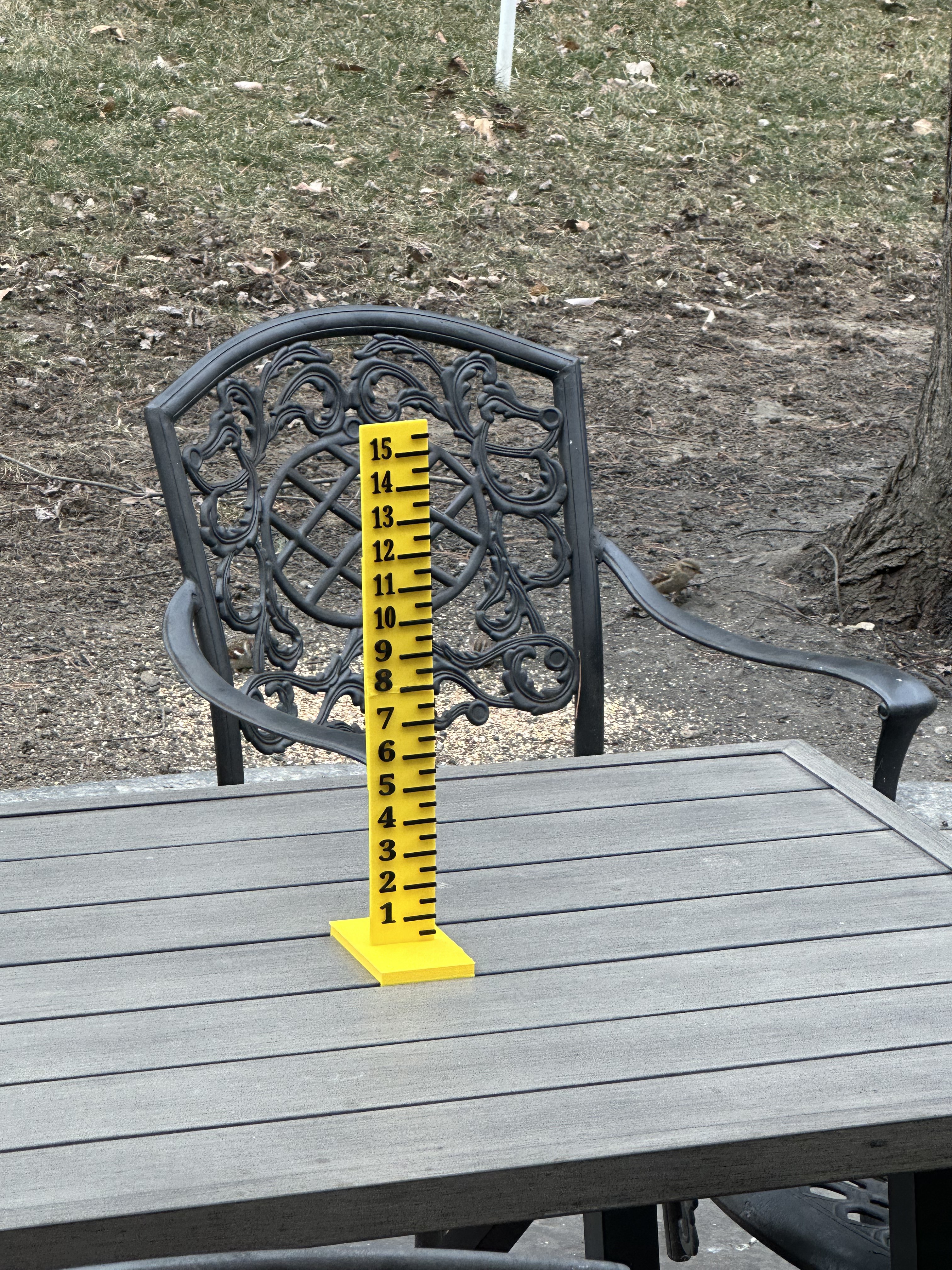 Snow Gauge