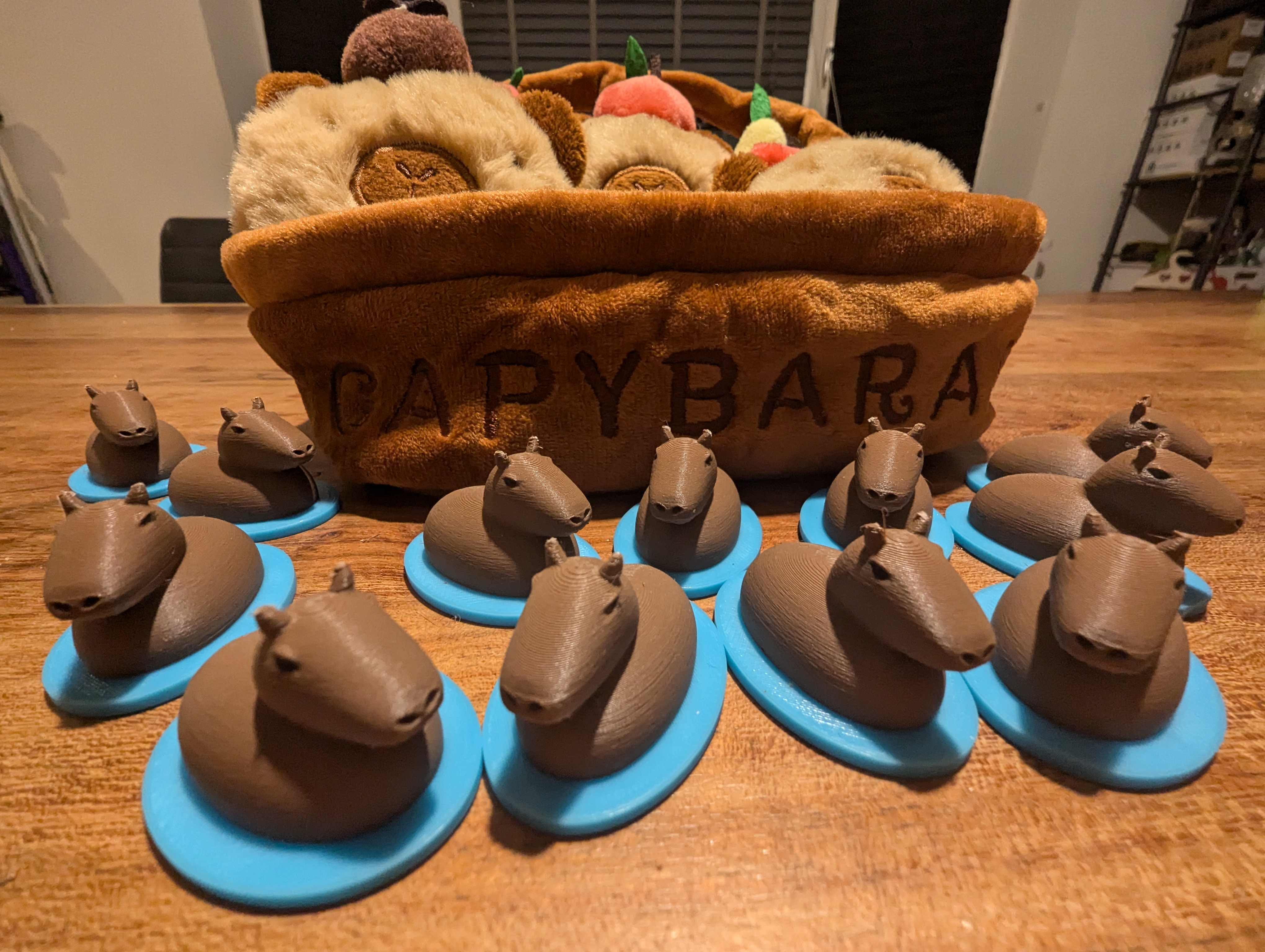 Capybara on the Water