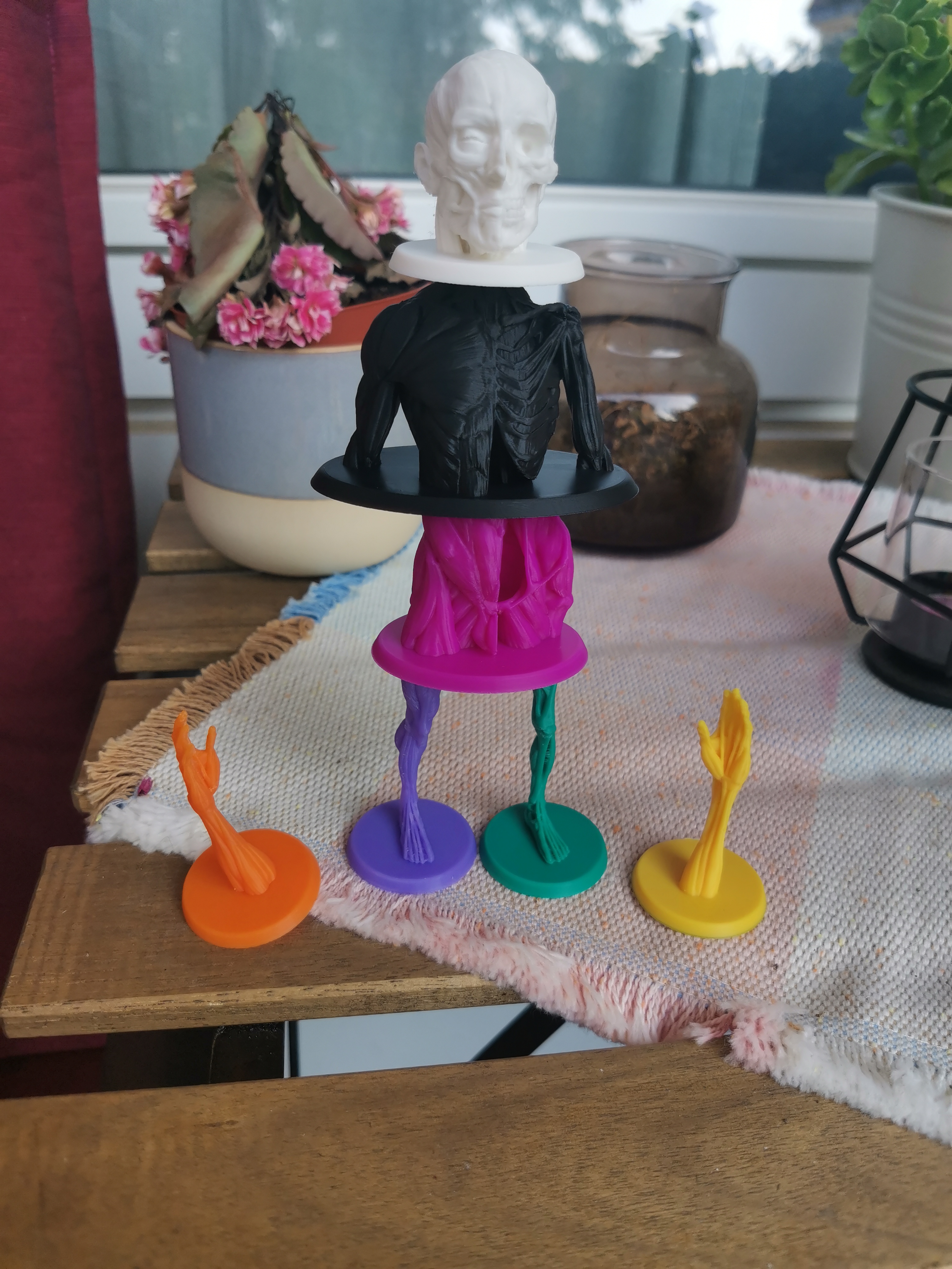 Anatomy Game Pieces — miniatura 2