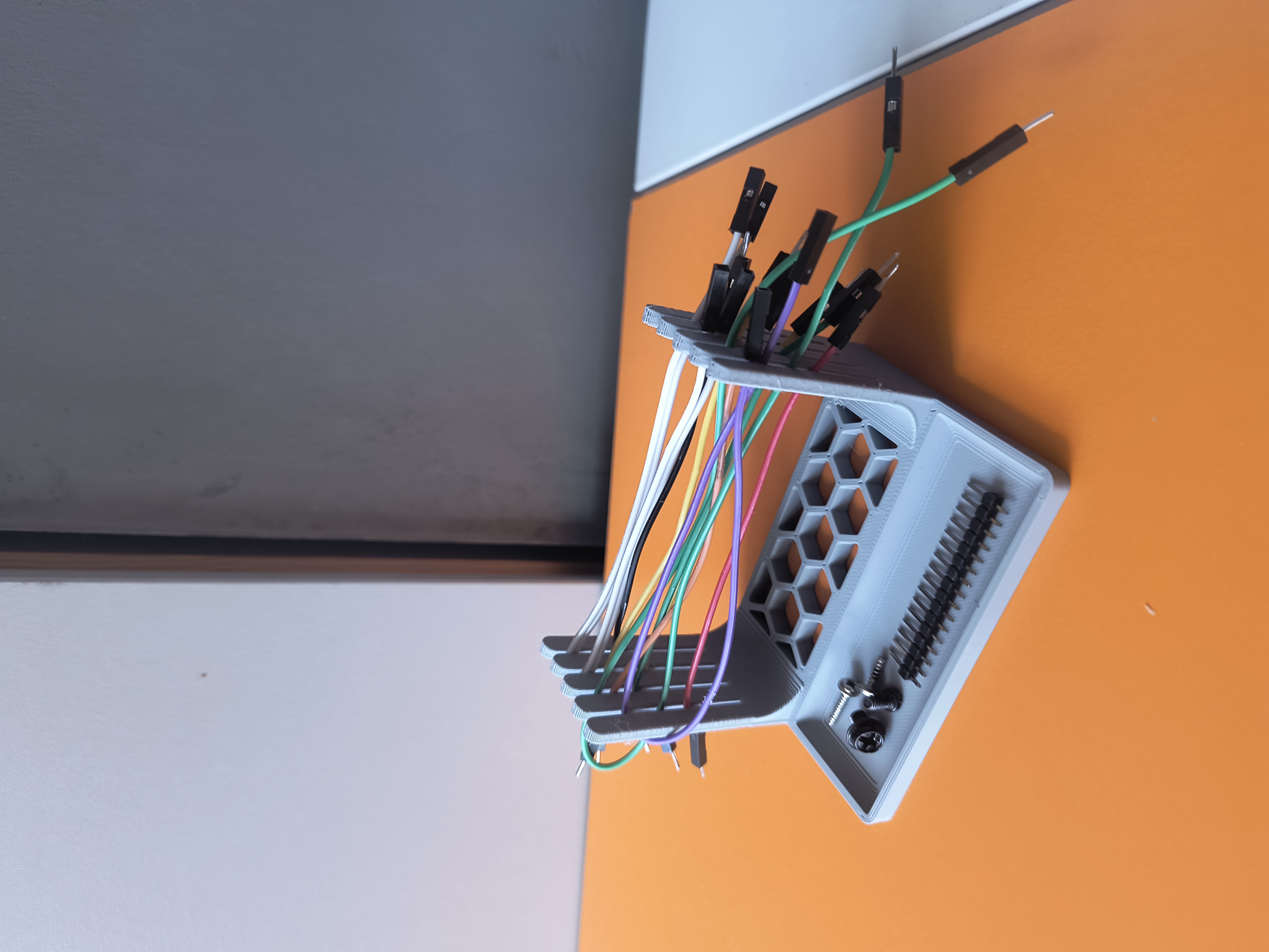 Jumper wire organizer