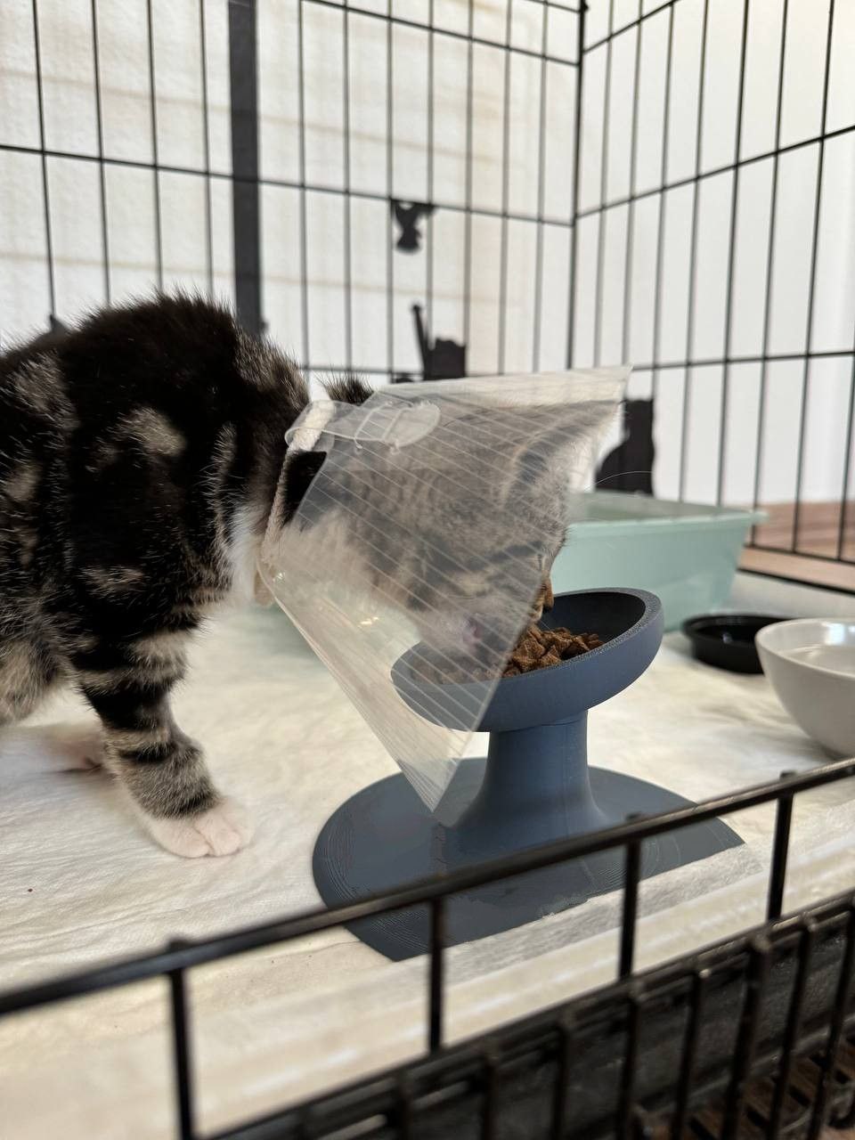 Extra-durable raised bowl for cats and kittens
