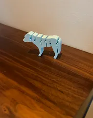 Flexi Dog