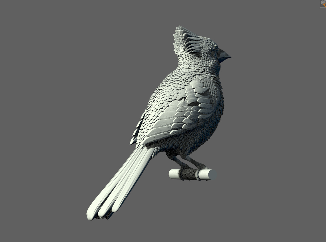 red cardinal — miniatura 4