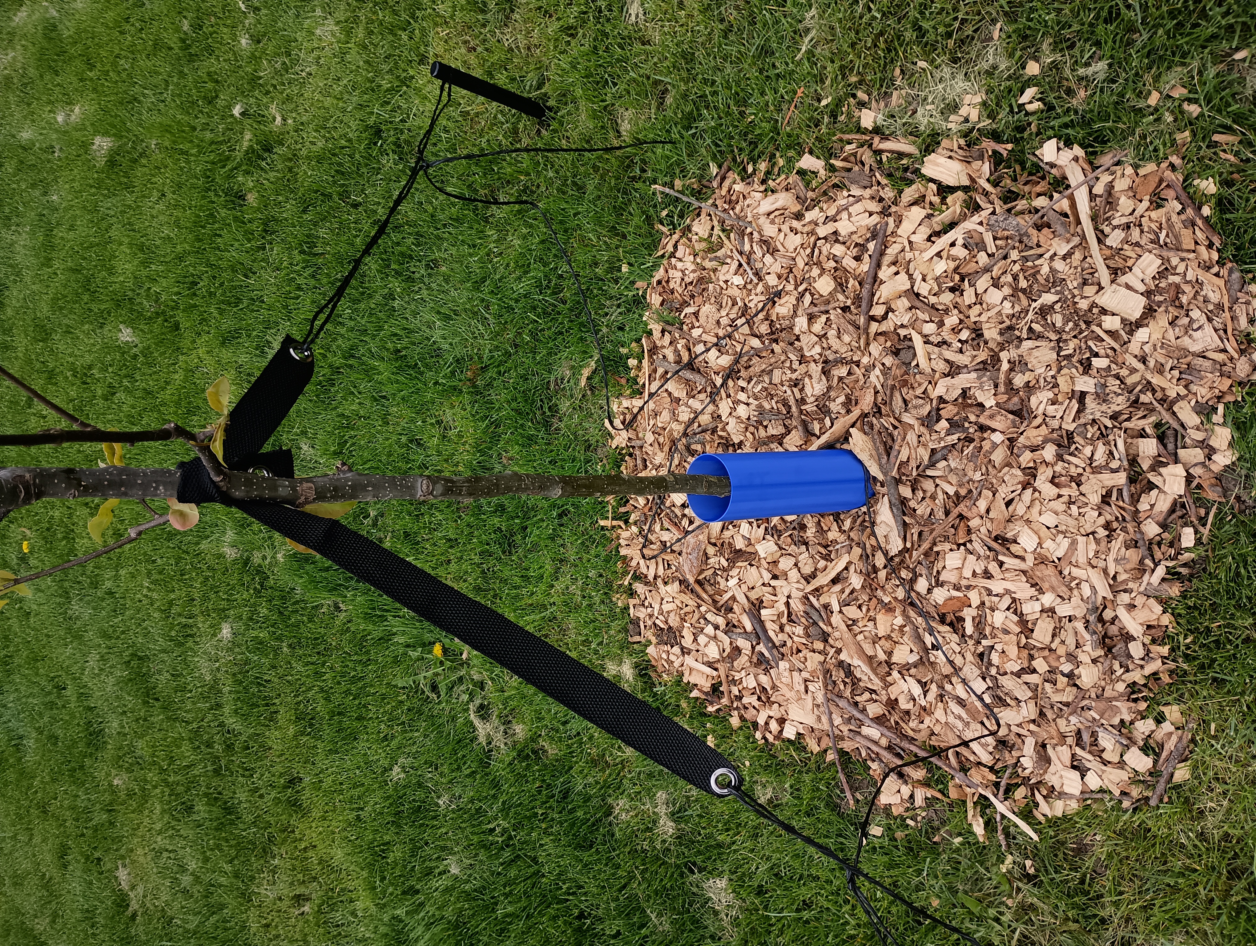 Tree Trunk Guard/Protector 75mm