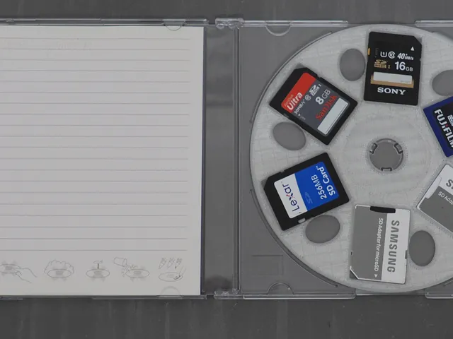 6 SD card storage case