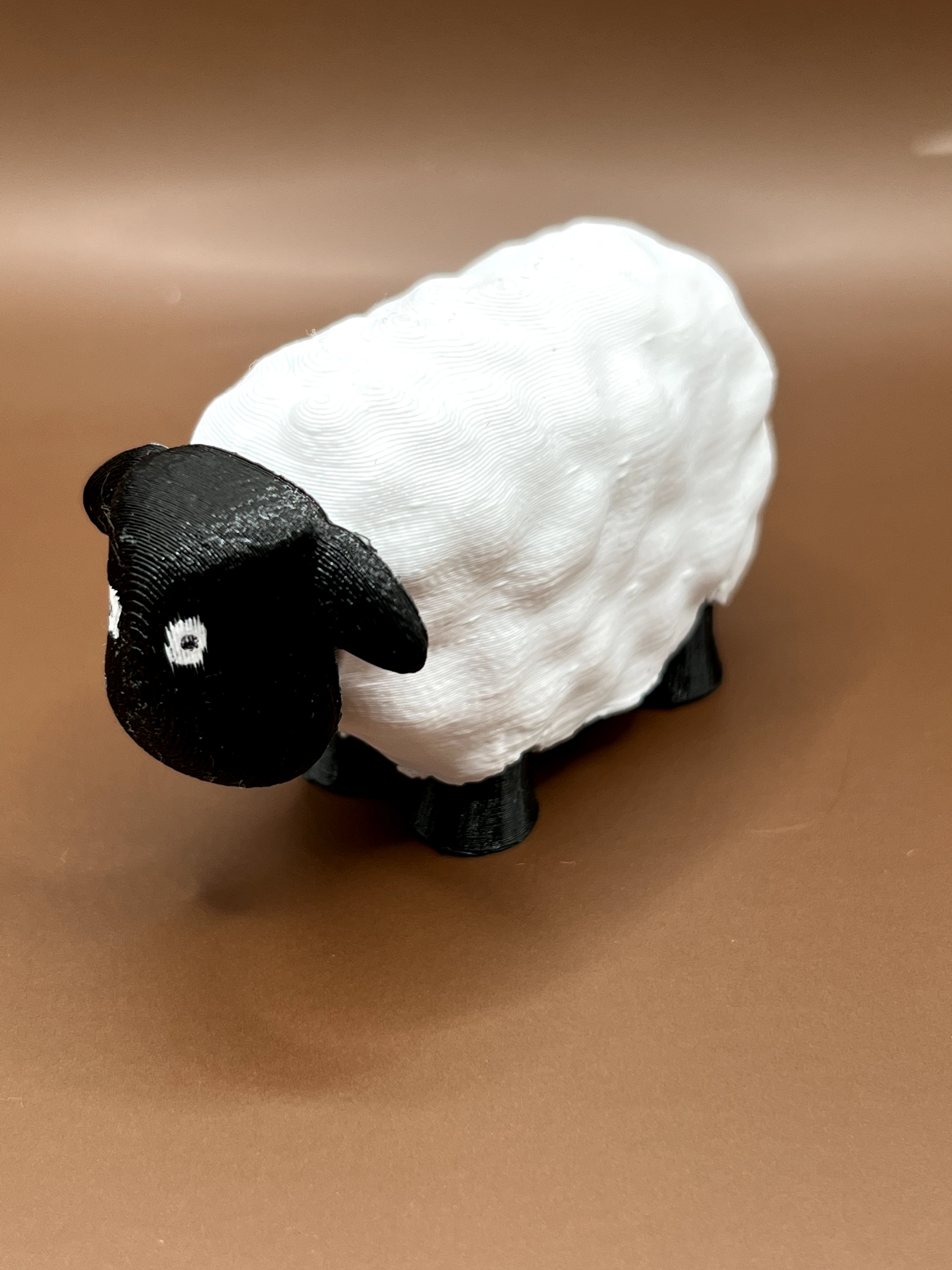 Sheep
