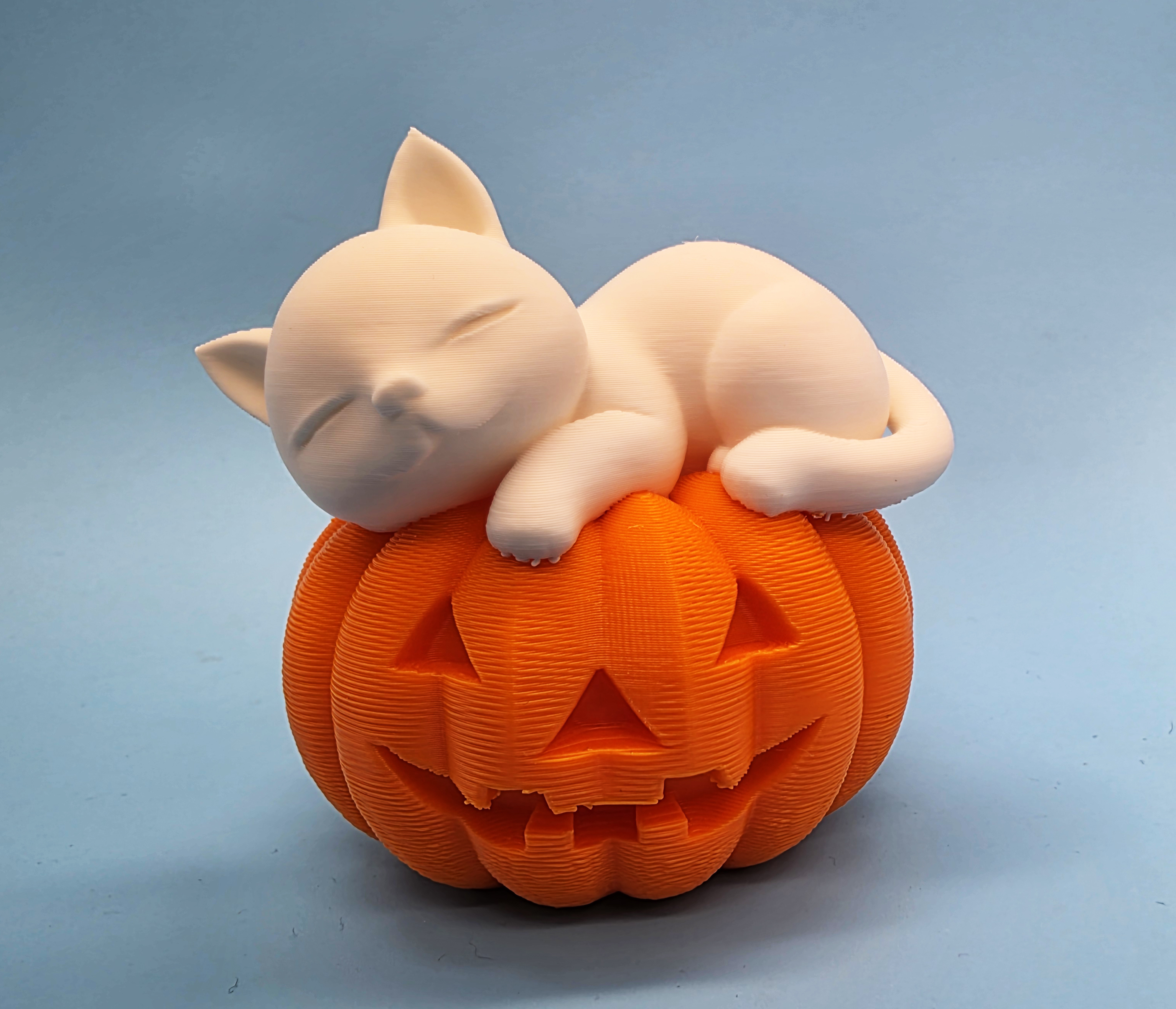 Cat Sleeping on Jack-o-Lantern