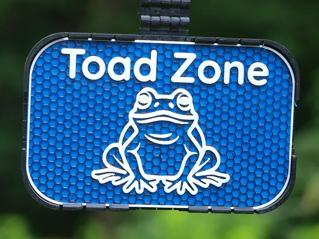Toad Zone sign