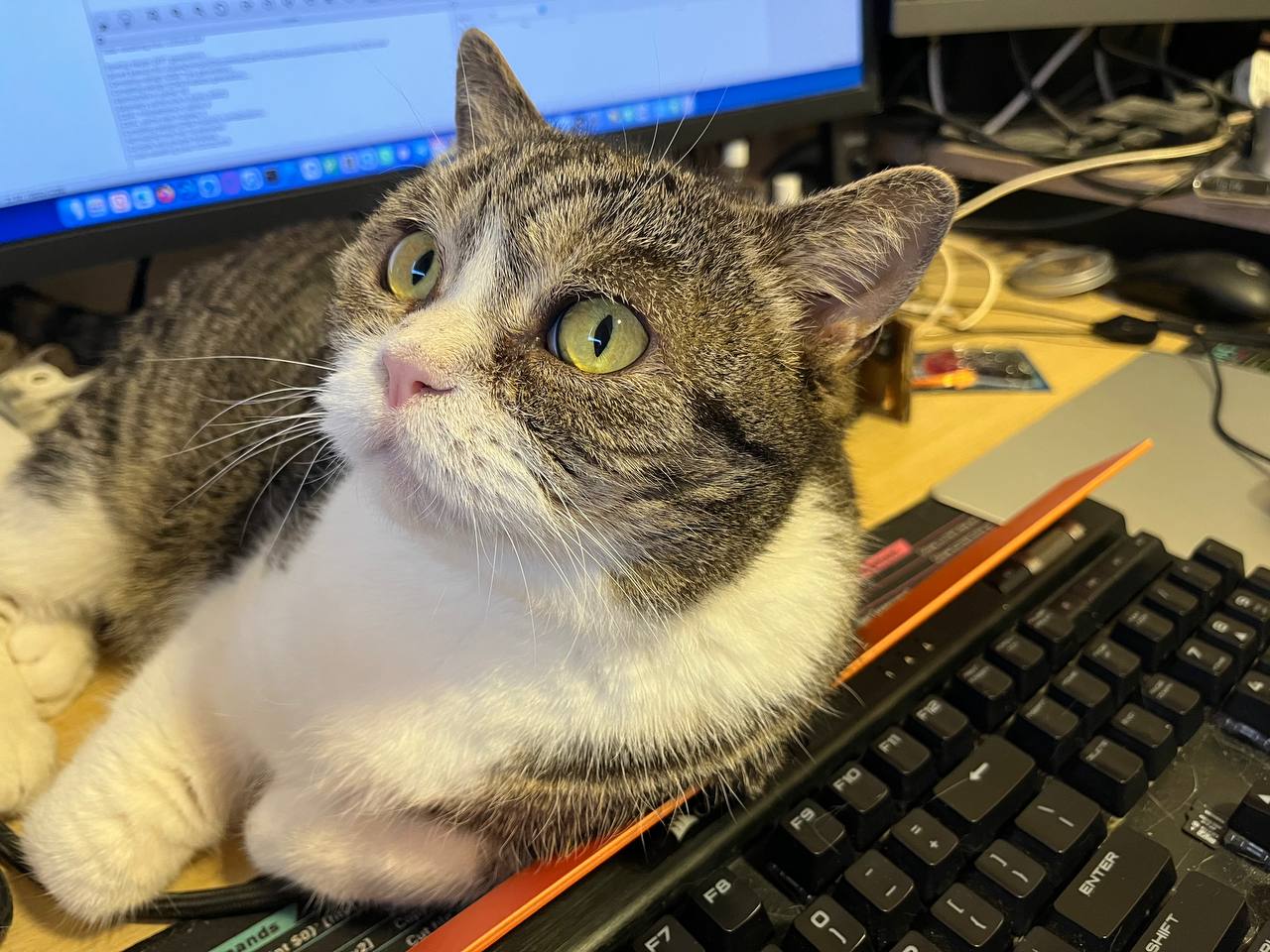 Keyboard Defender