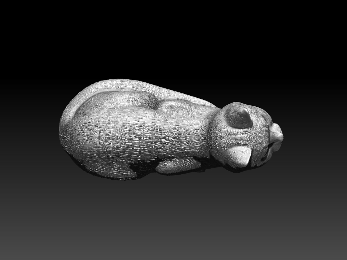 cats — thumbnail 9
