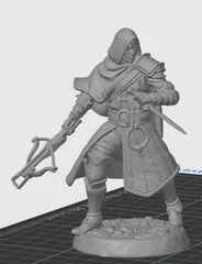 D&D Human Rogue / Assassin