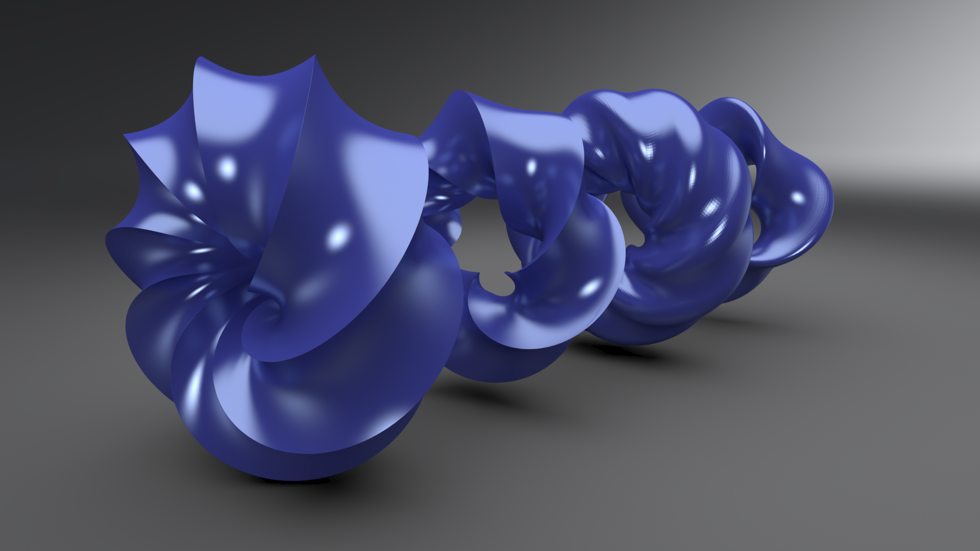 Twisted Torus