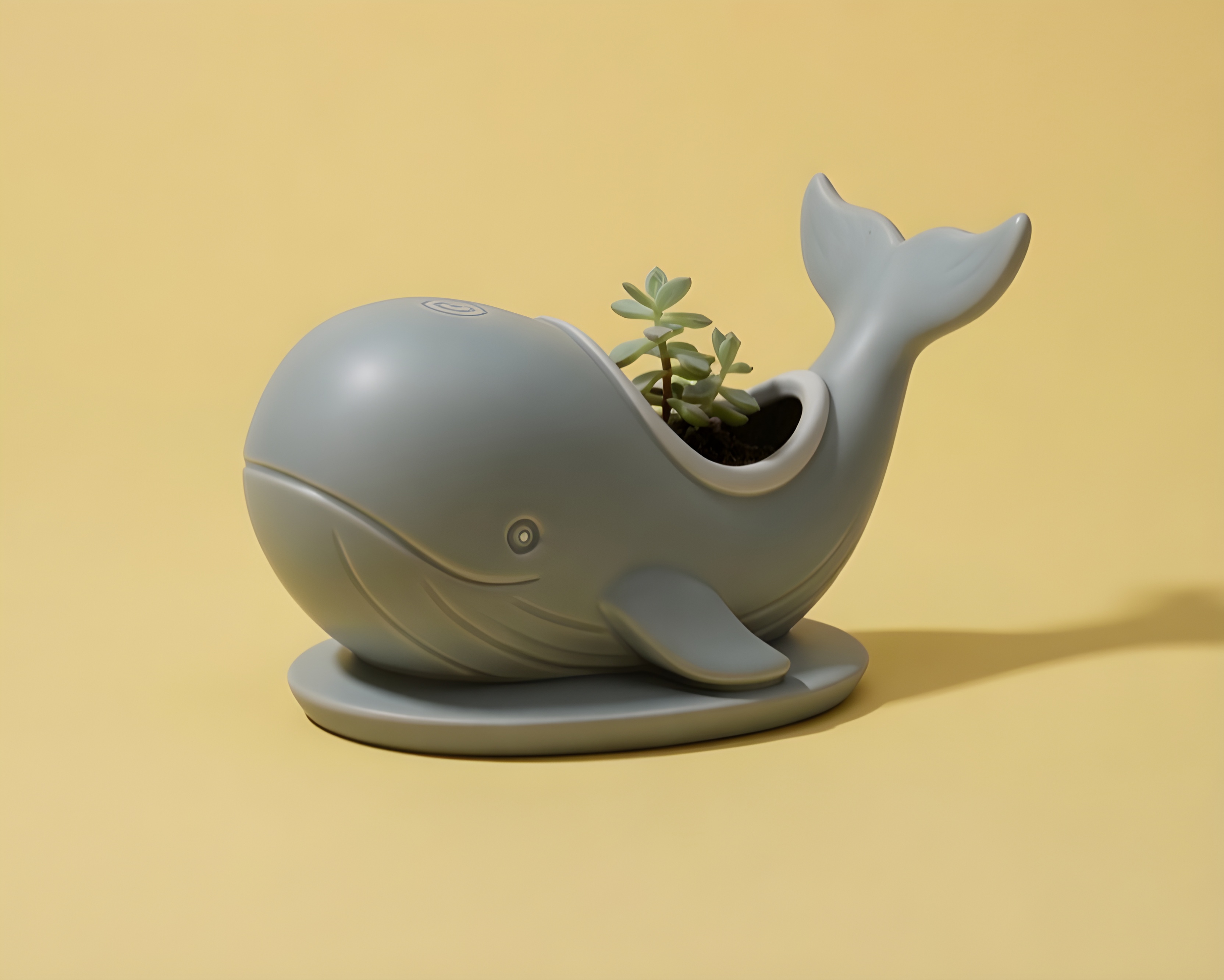 Whale Succulent Pot