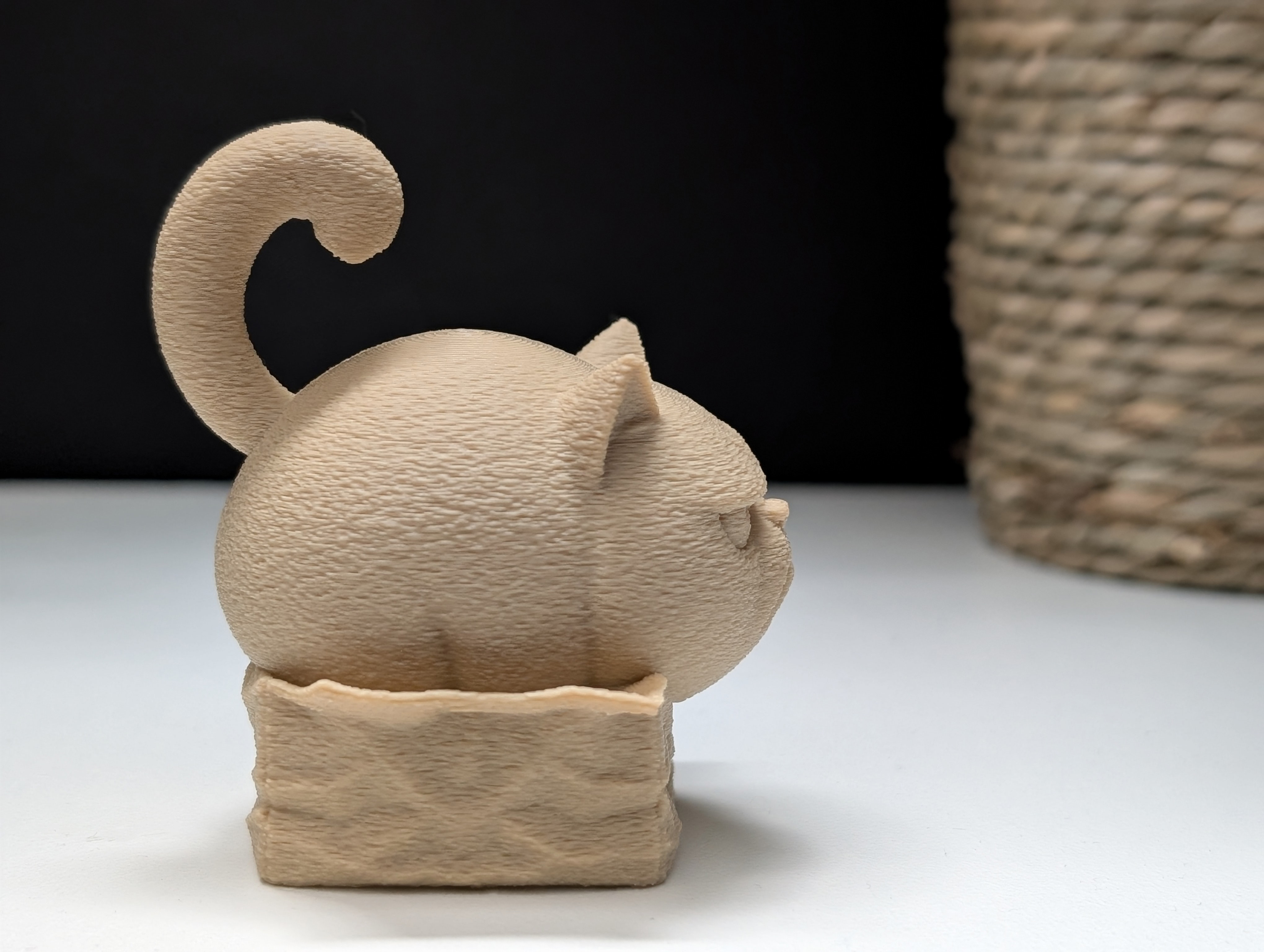 Miniatura 4 do modelo 3D Grumpy Cat "in" a Box