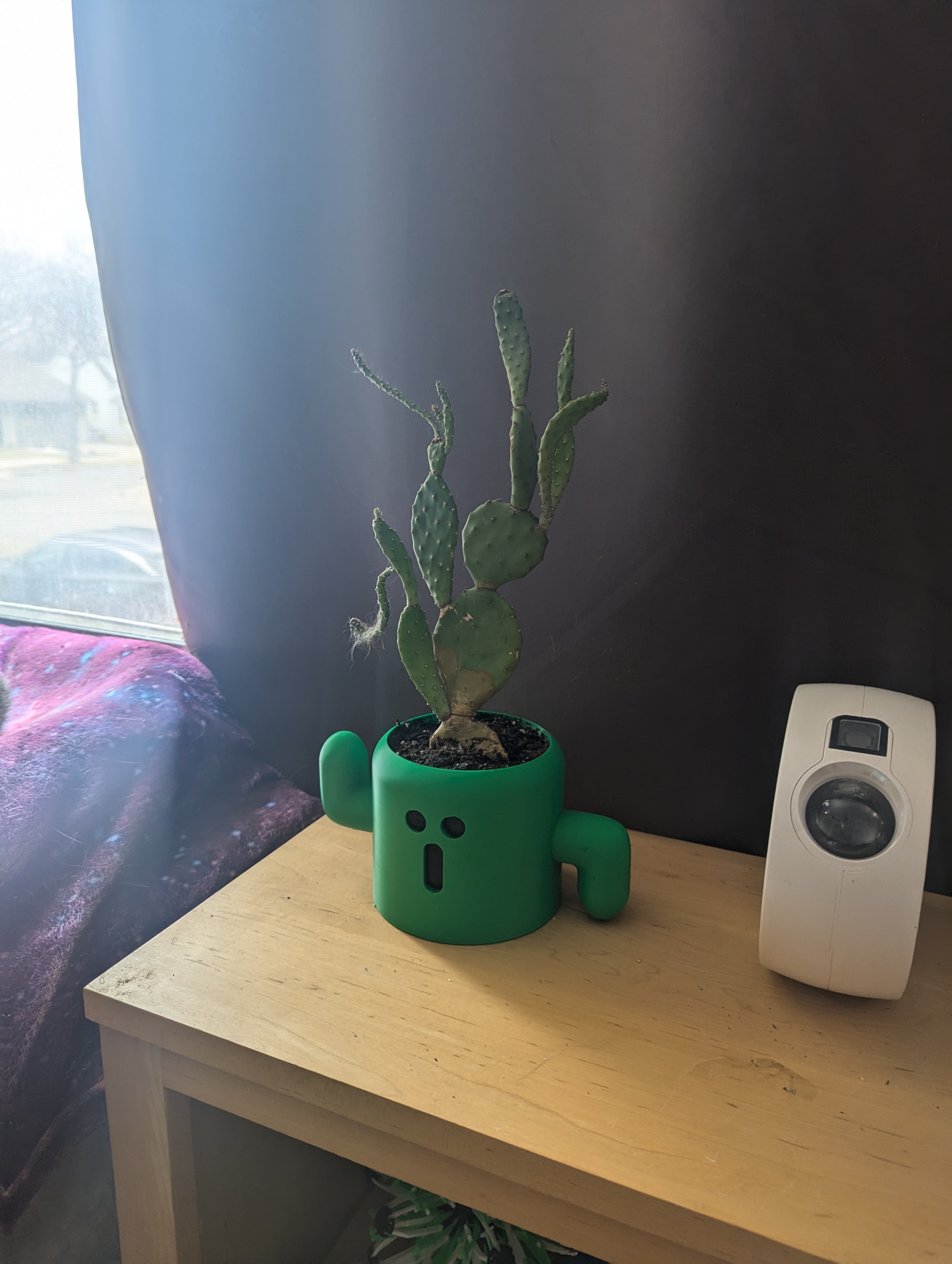 Cactuar Planter (Modified w/ Ejectable Base)