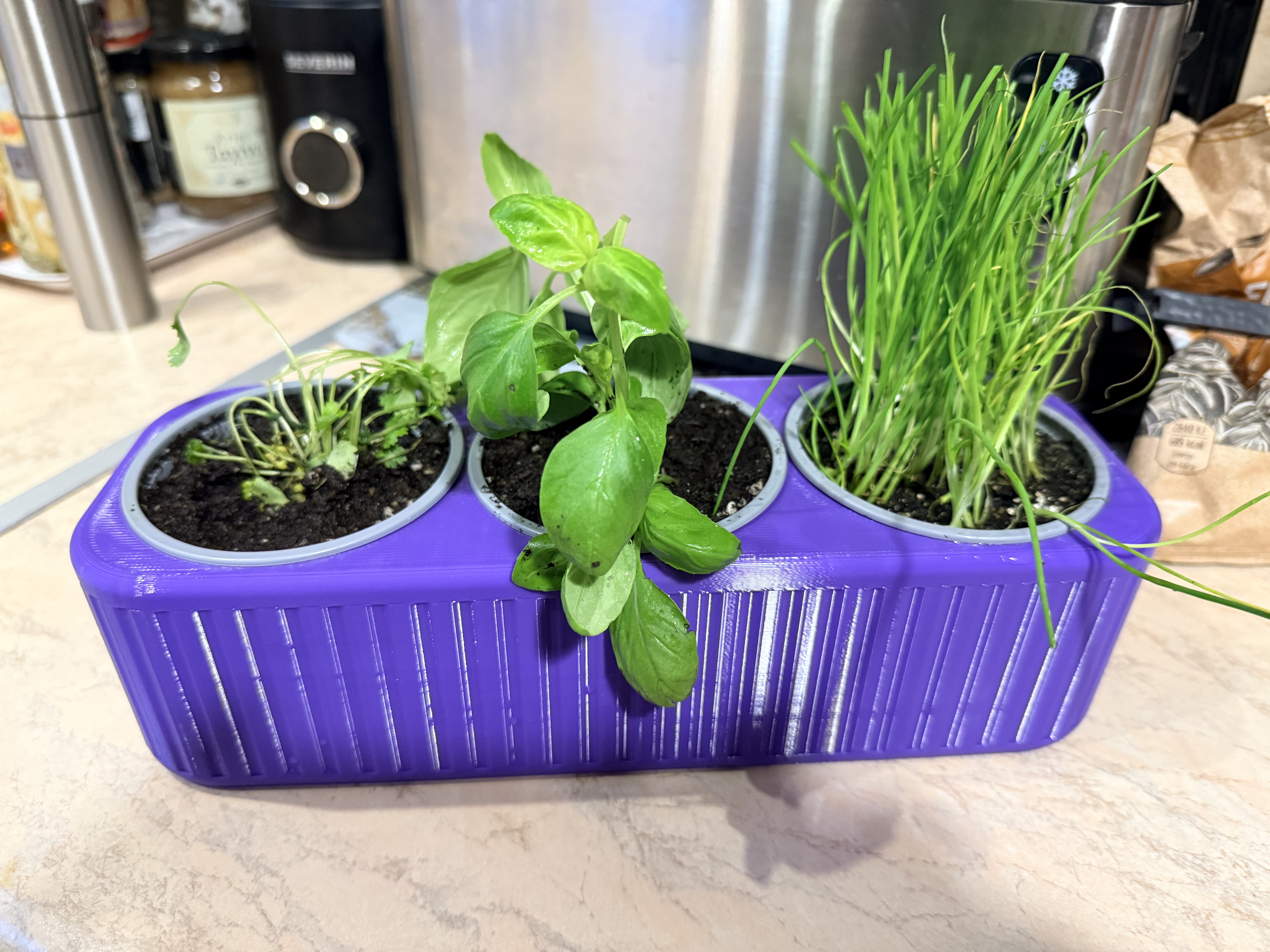 Triple Herb Planter – Compact Kitchen Pot