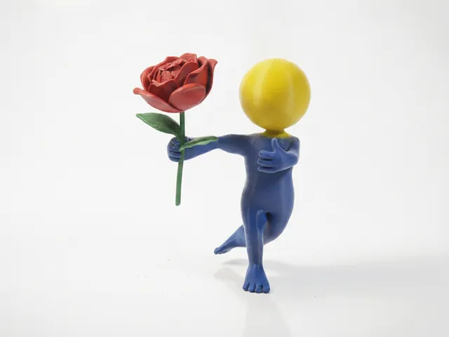 Proposal Romantic Figure Miscellaneous 3D Printable