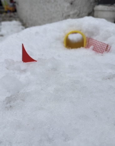 Snowboard Tore