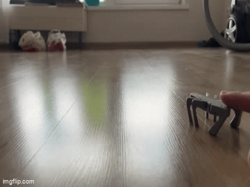 JUMPING Grasshopper — thumbnail 2