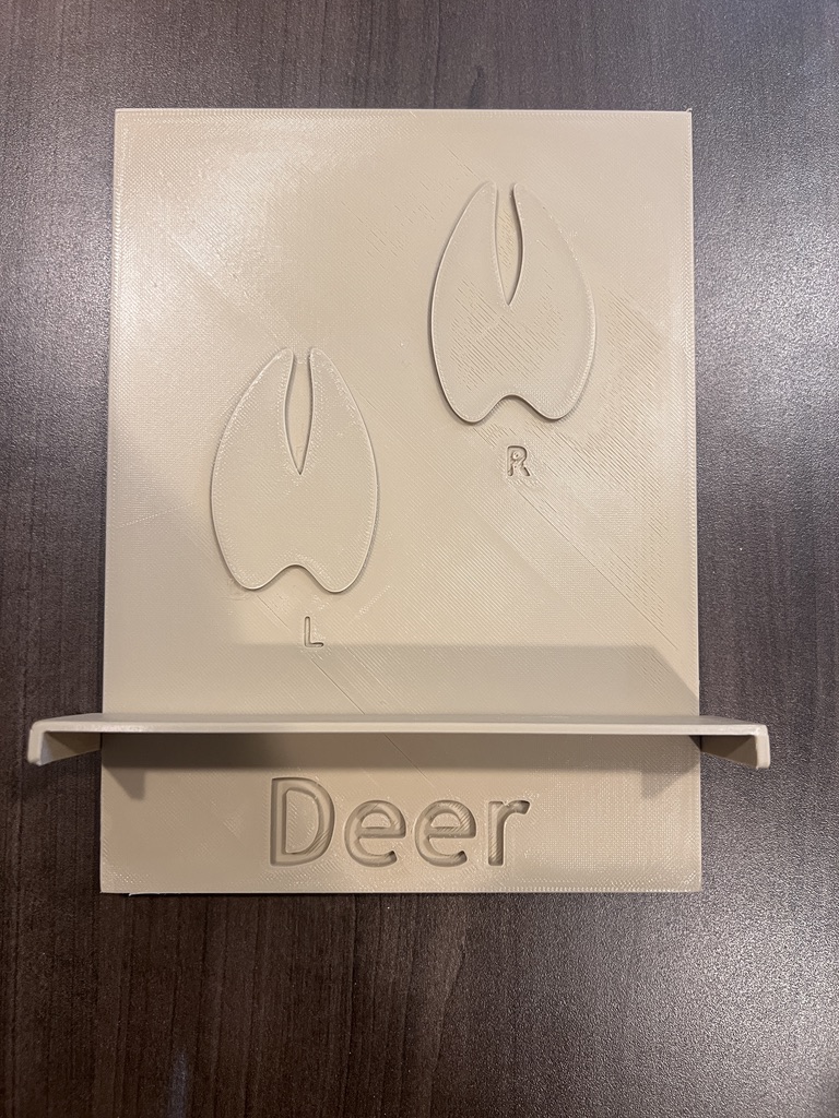 Animal Track Teaching Tool — thumbnail 6