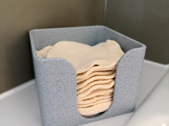 Reusable makeup wipe tray