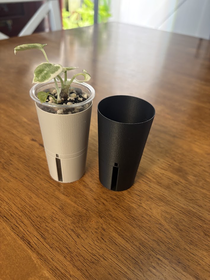 Double Shot Glass Cover for Self Watering Pot for Corms, Tissue Cultures, and Small Plants