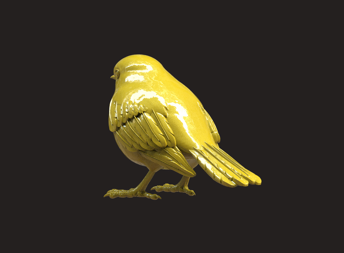 Bird — thumbnail 4