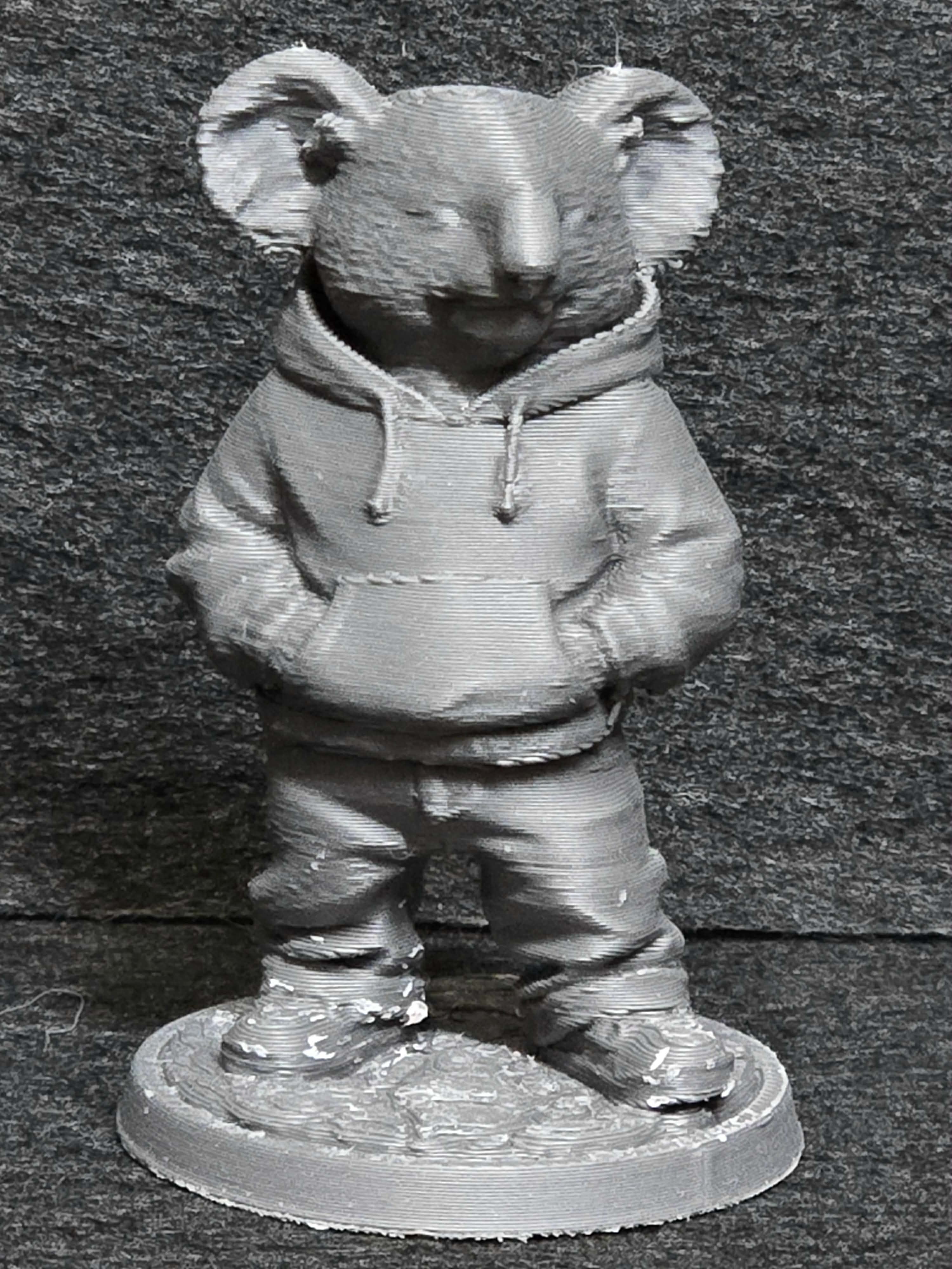 Casual Koala — thumbnail 2
