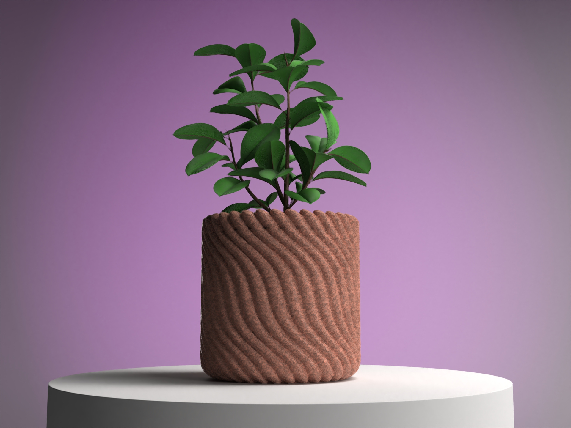Wavy Planter