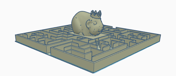 Maze for guinea pig or hamster.