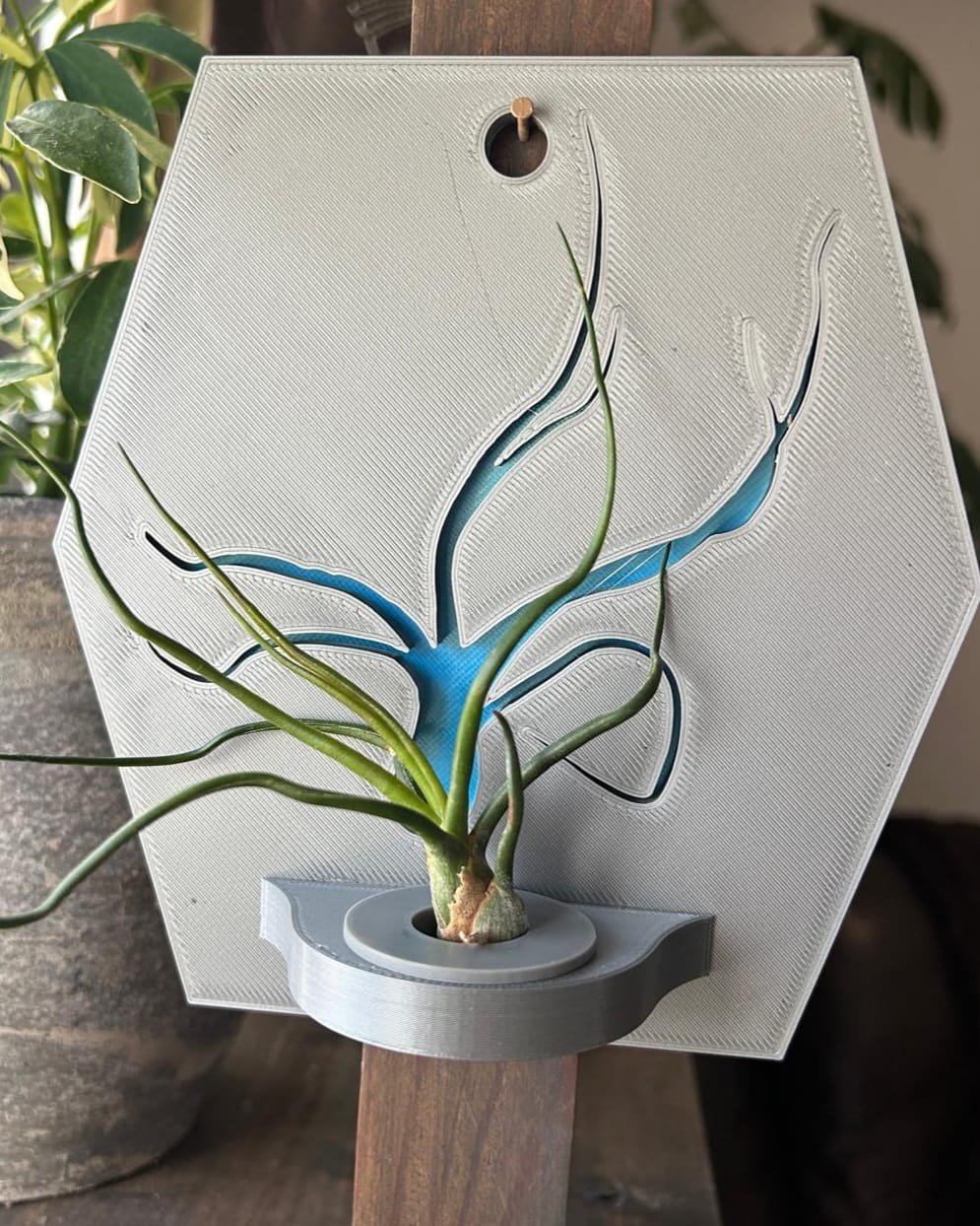 Multi-Colour Air Plant Hanger (no ams/mmu needed) 3D model