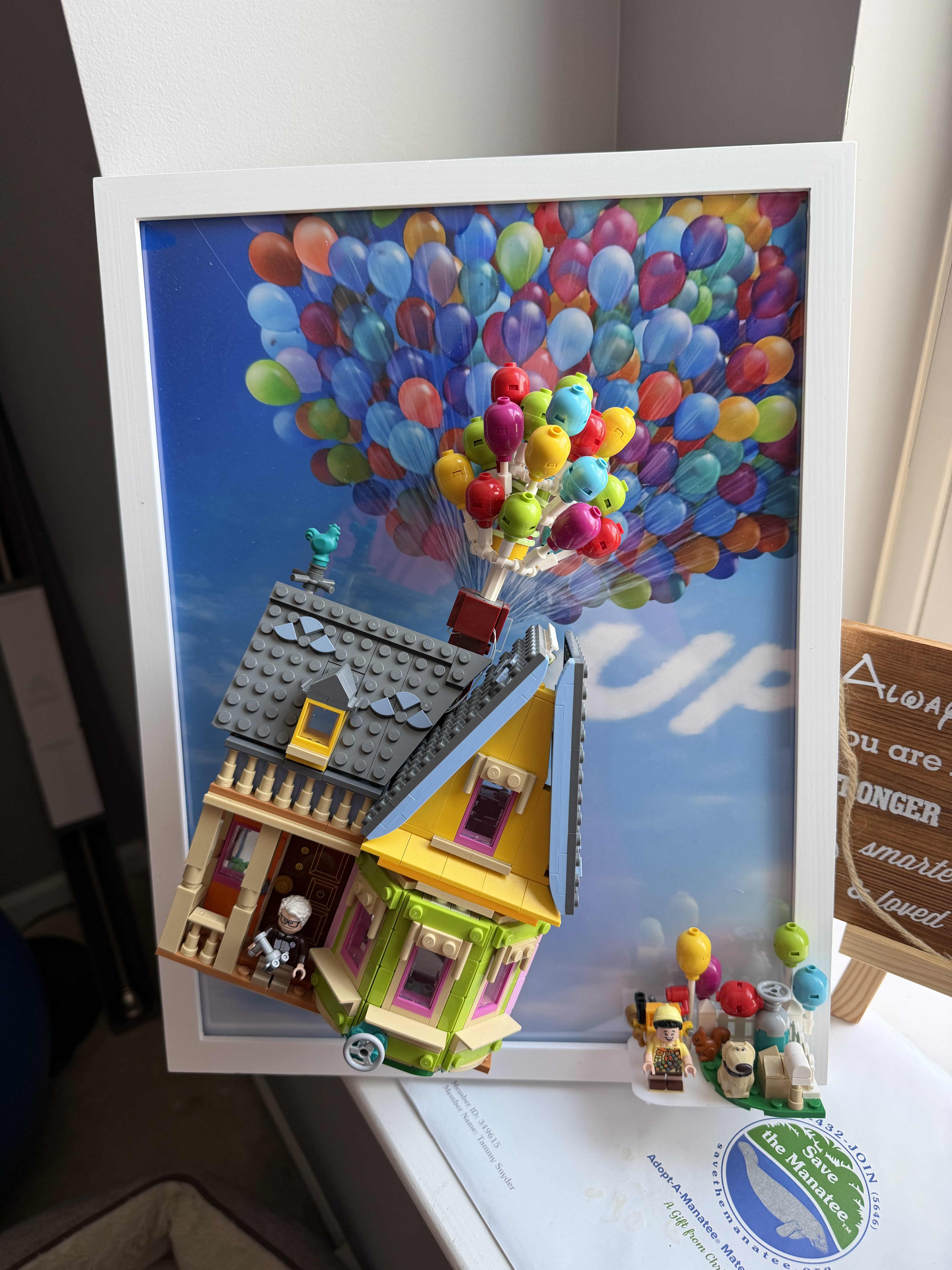 LEGO Disney Up House Display Mount (12×16 IKEA Frame) with Background