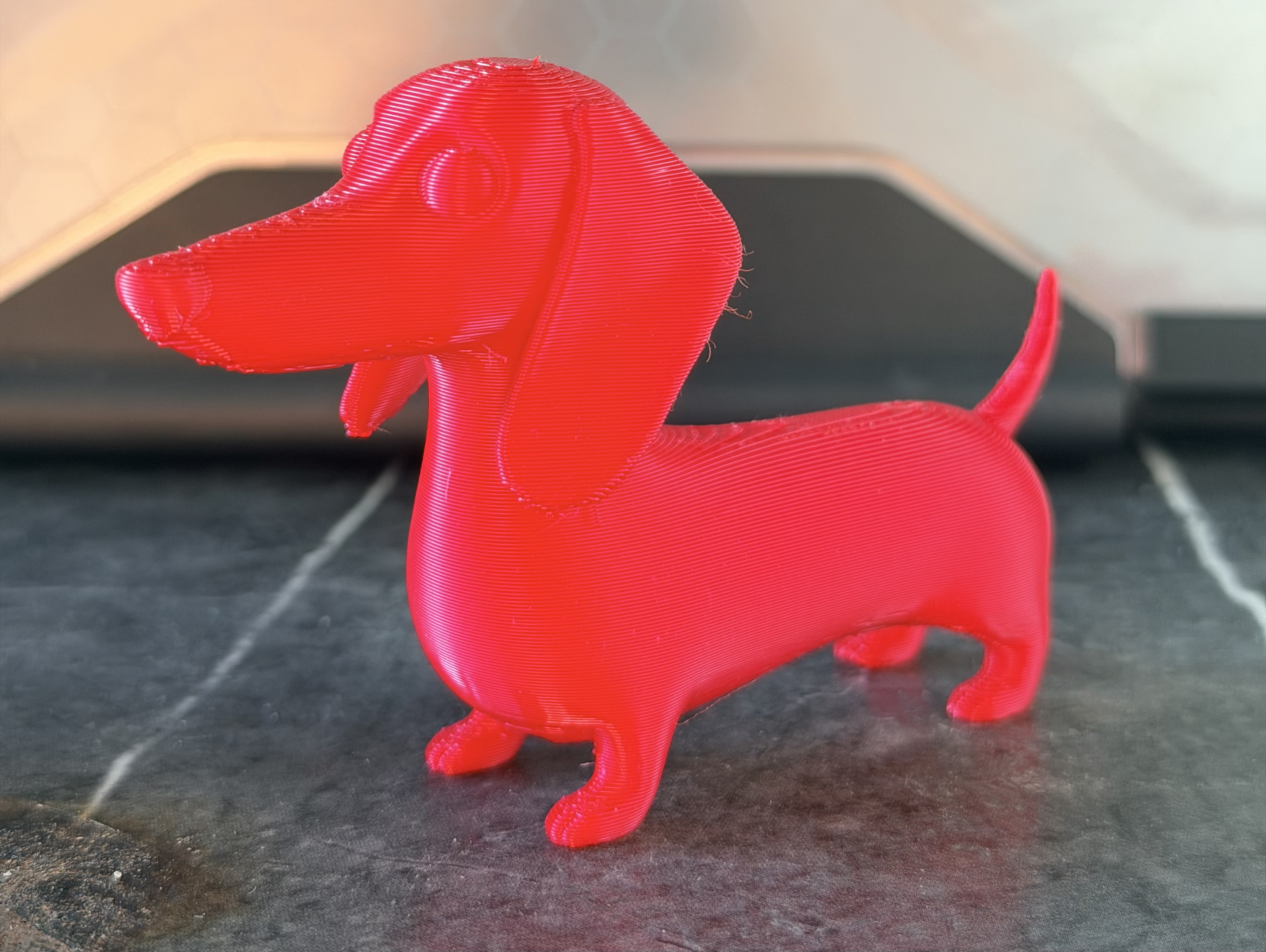 Dachshund — miniatura 2