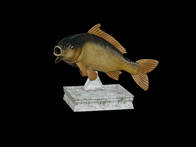 Common Carp Model – Design 1