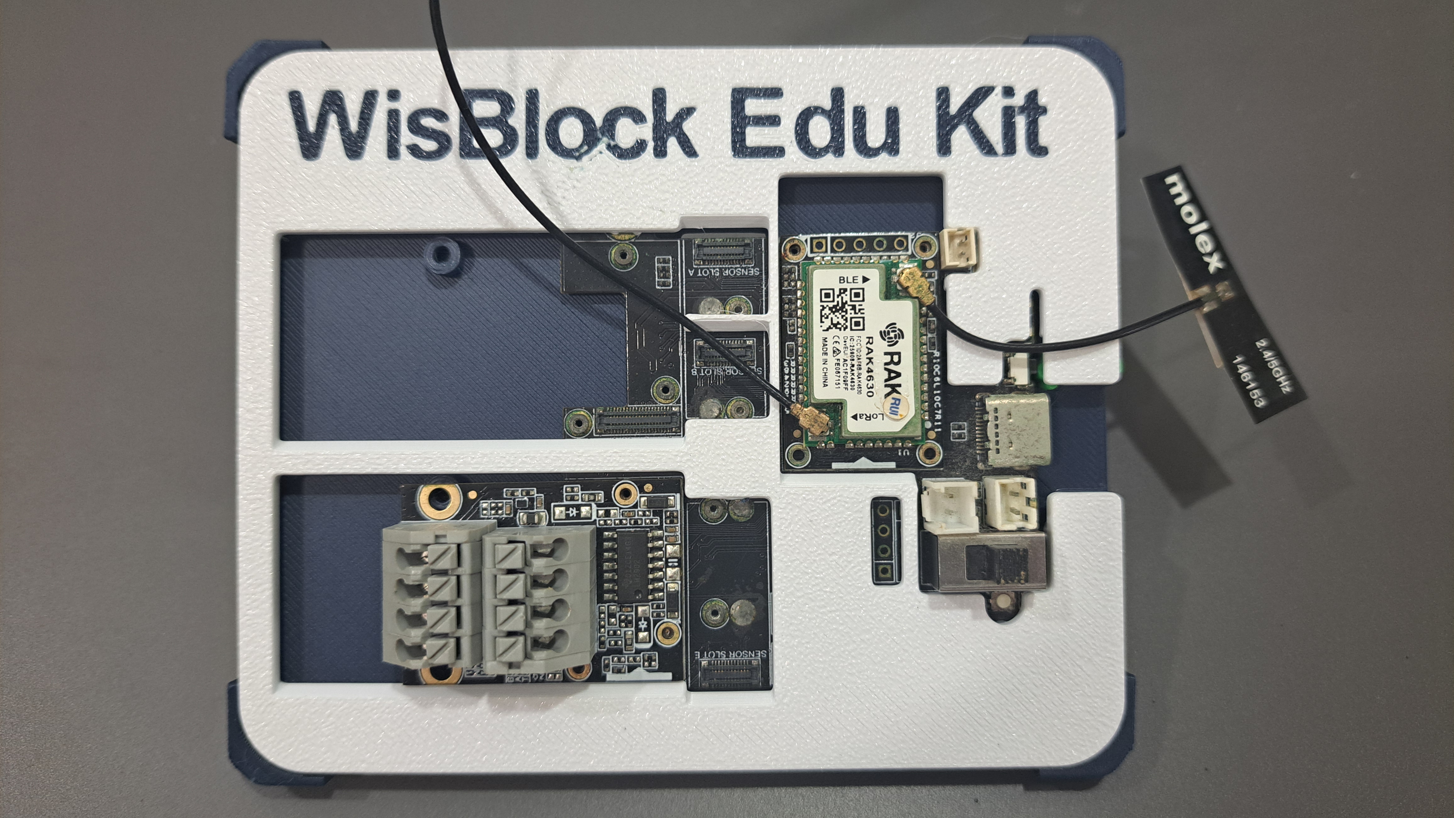 RAKwireless RAK19001 Edu Stand