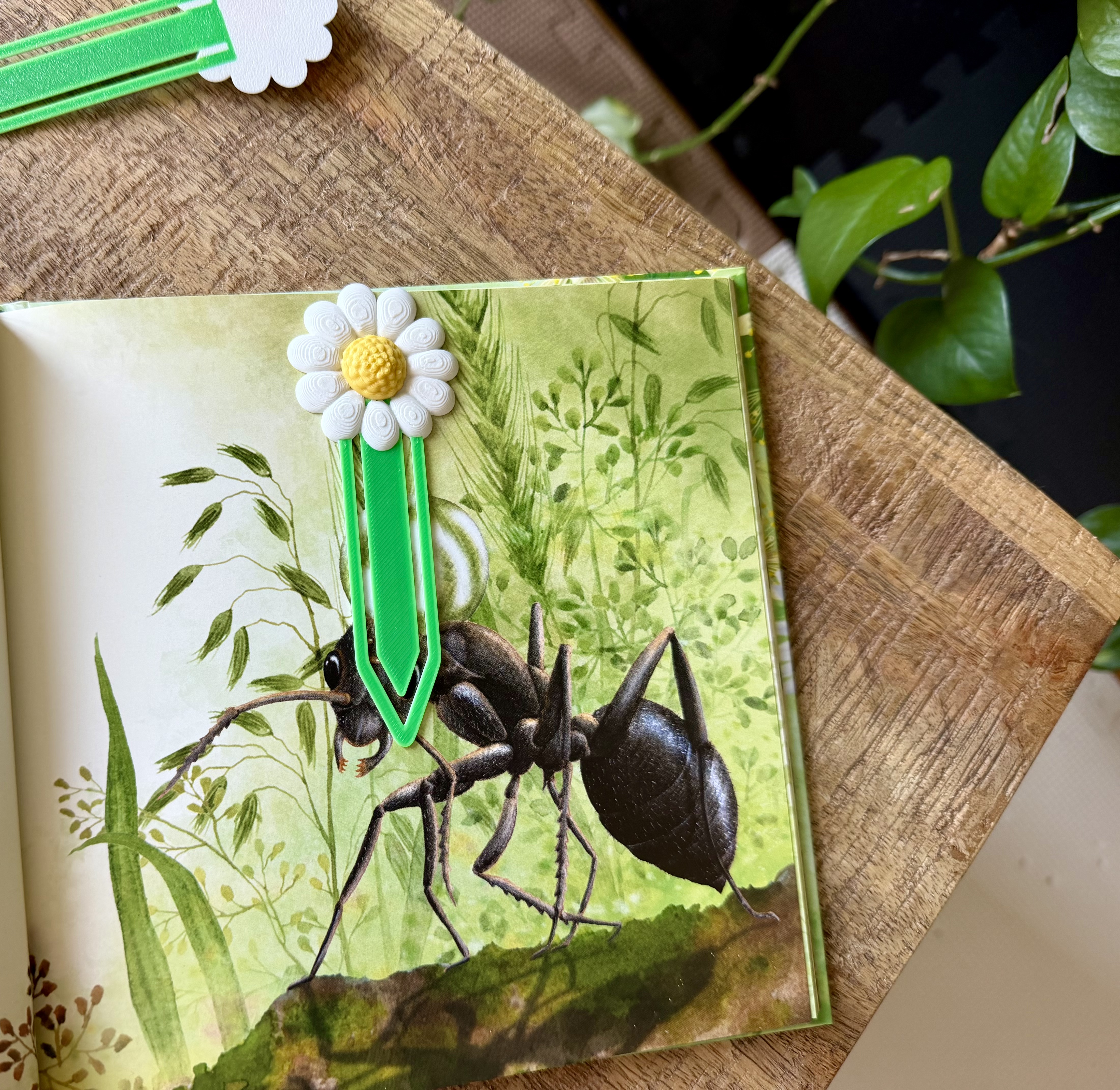 Daisy bookmark — miniatura 5