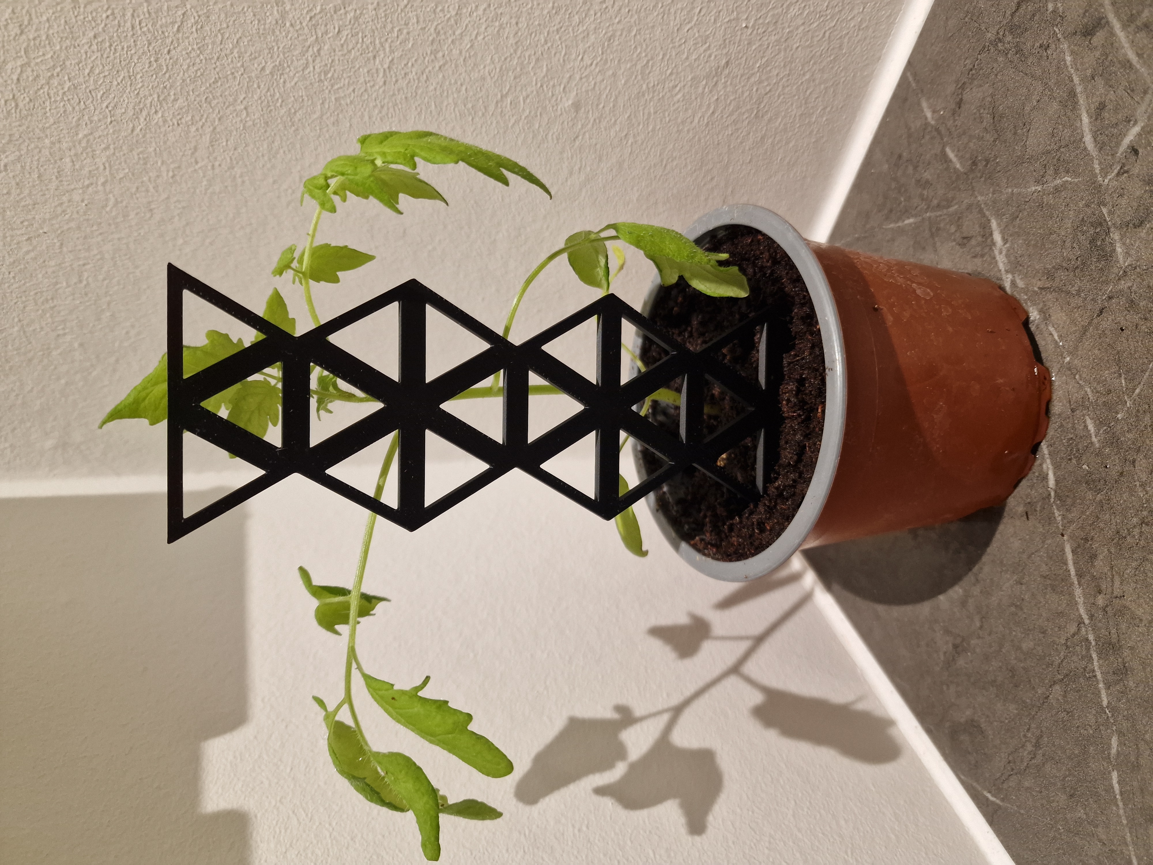 Plant holder triangle