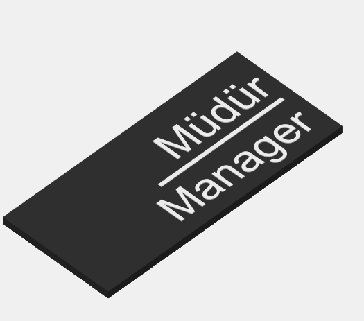 Müdür - Manager