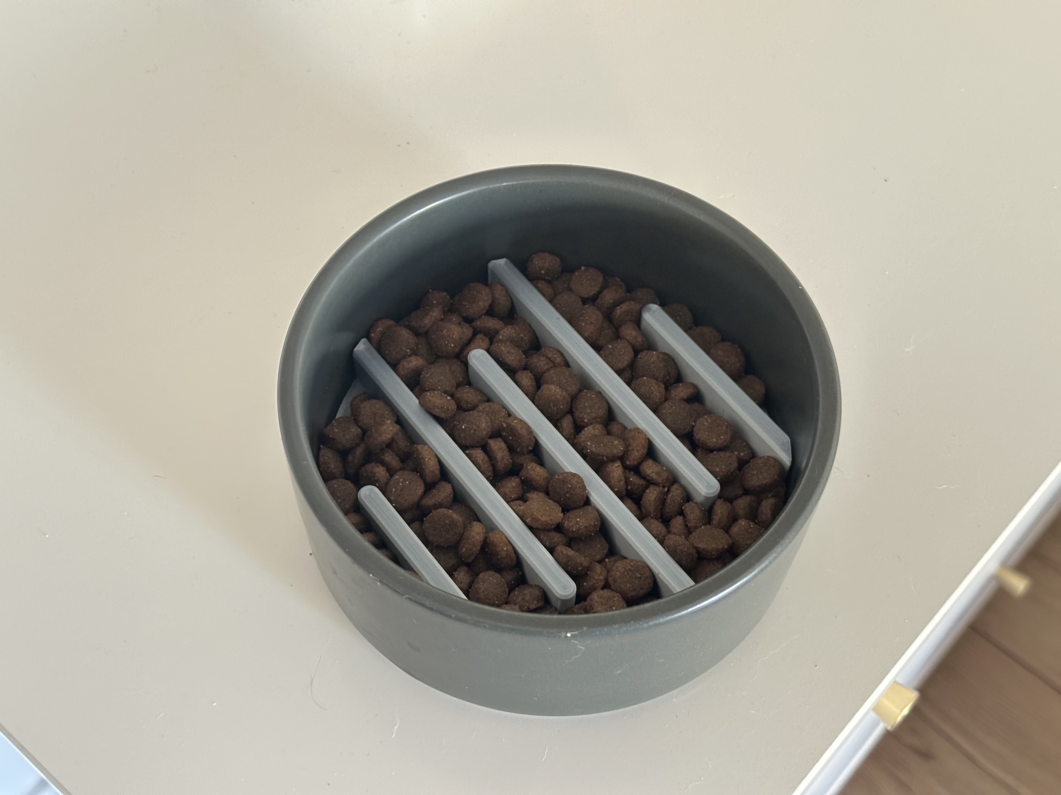 Feeding slower for dogs
