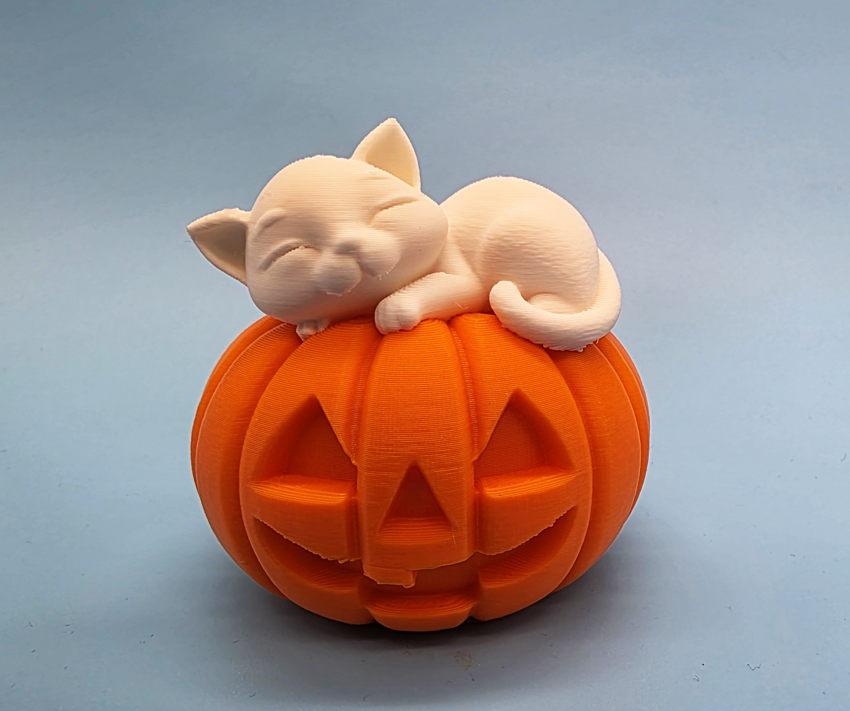Kitten Sleeping on Jack-o-Lantern