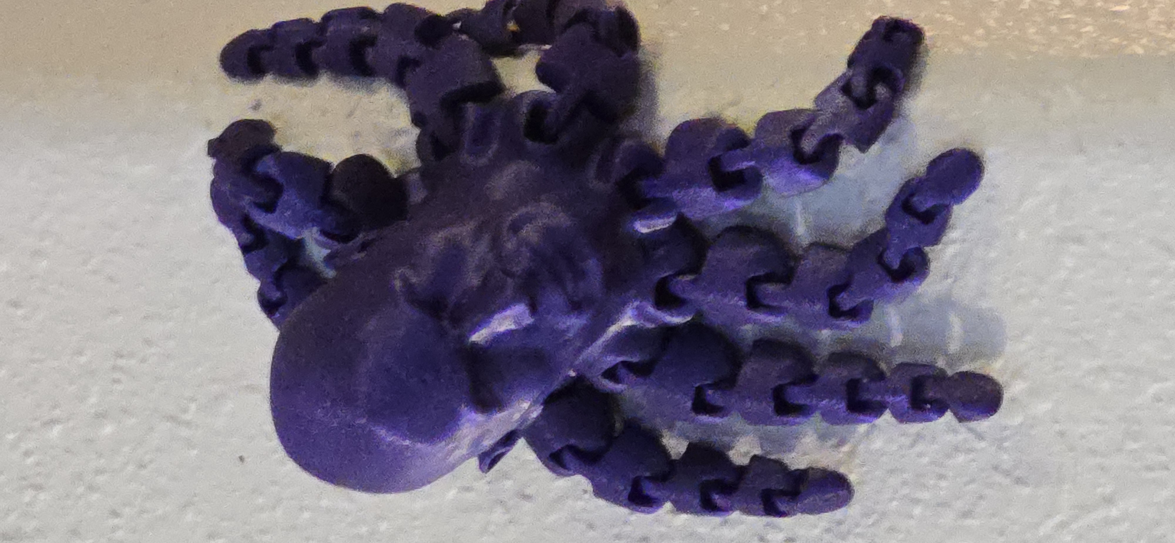 Magnetic Rocktopus