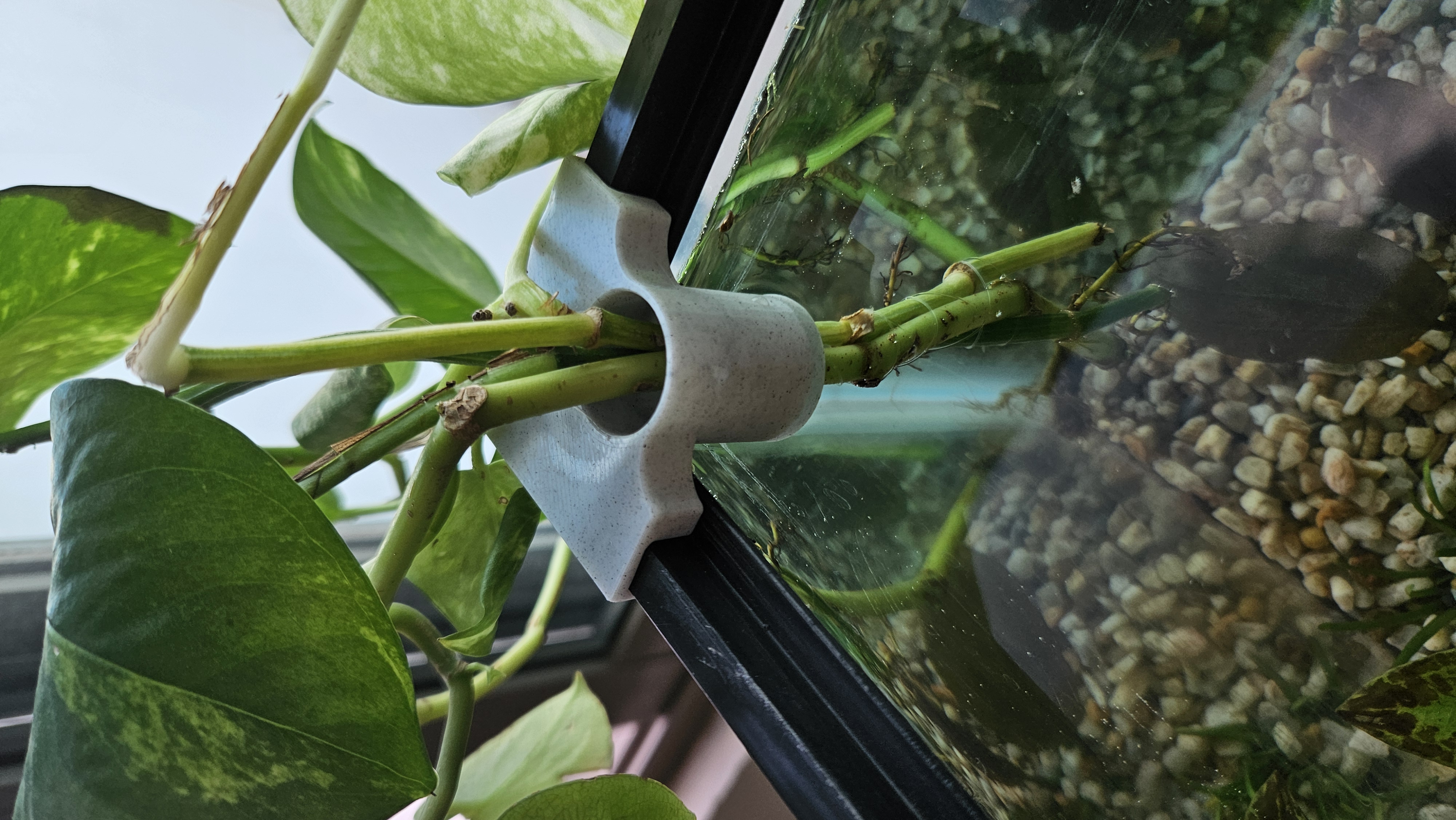 Aquarium Corner Plant Holder