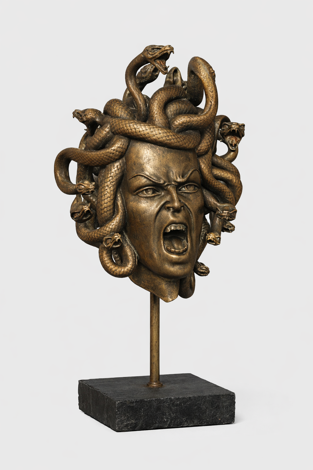 Unique Amazing Large Head Of Medusa